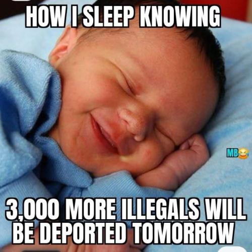 image_C6623216-FAB6-4294-8910-B3473D207F2A