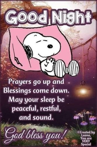 c0e475f9484220014287891fc287e02b