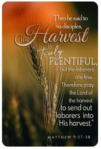 3108182b16cec761f888db3ee7198b96