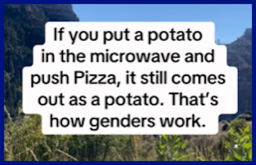 how gender works