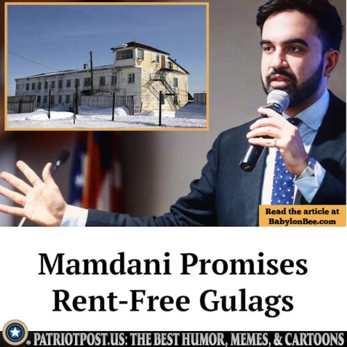 01K997DYZ4WSW990NBYKKT9SE7