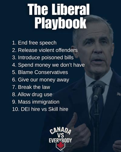 liberal playbook