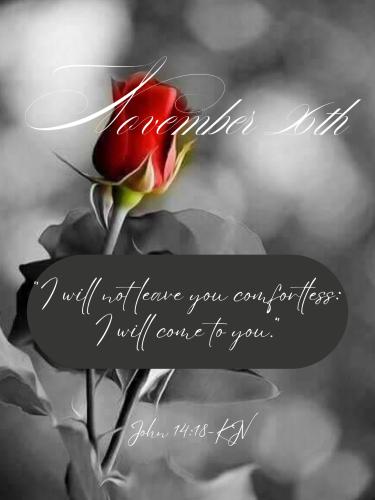 589271671_864416036092744_6922506452893049066_n