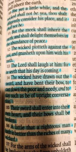 FB_IMG_1763894798711