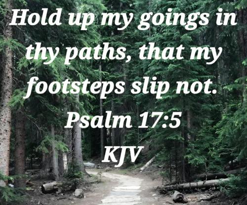 d3501826-51ae-44ce-9115-e253faa27f1a