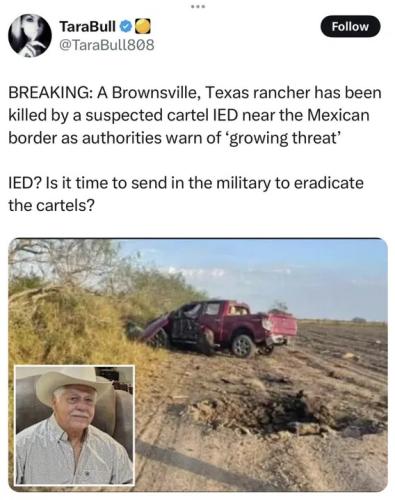 illegal alien cartell