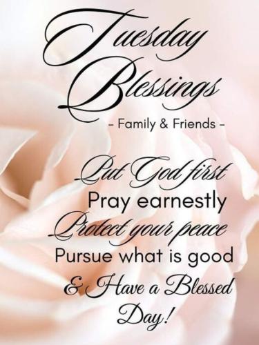 587709260_863668439500837_5503947453119294517_n