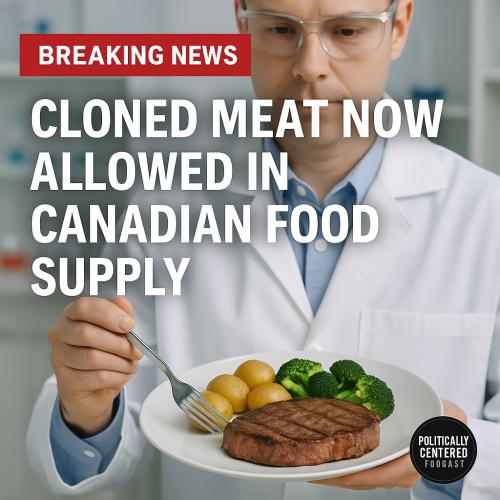 cloned meat