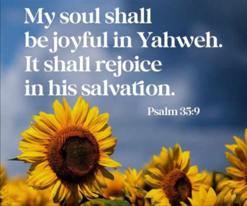 Screenshot_20251108-180411-084