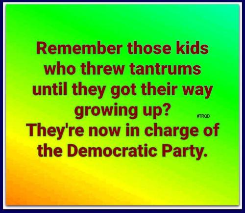 37f6d35bdd2af18befa553c522dc5910