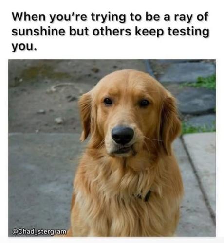 177f6c520dd4ac7ce6c925ace87e3c43