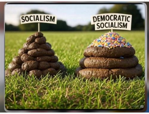 Screenshot_20251106_160745_Facebook