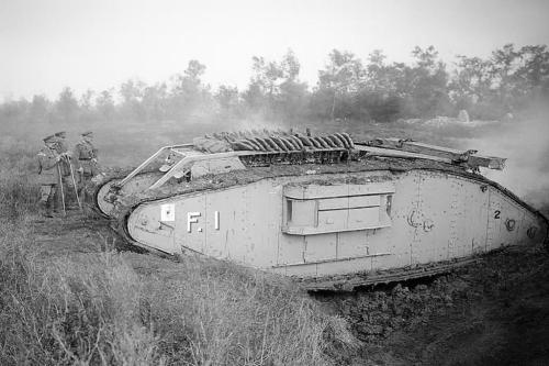 581935901_122285820296202239_1121114303905600133_n