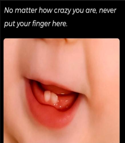 image_97C56A14-BFC8-42F5-AA0C-4BA2AFB46EEE