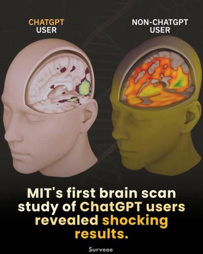 FB_IMG_1763332537046