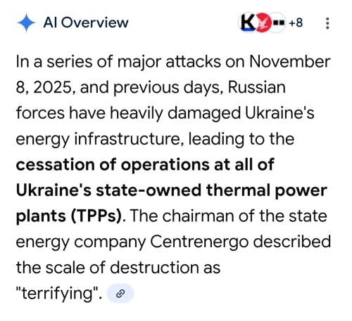 Screenshot_20251109_091651_Google(1)