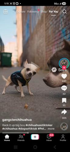 Screenshot_20251110_131128_TikTok