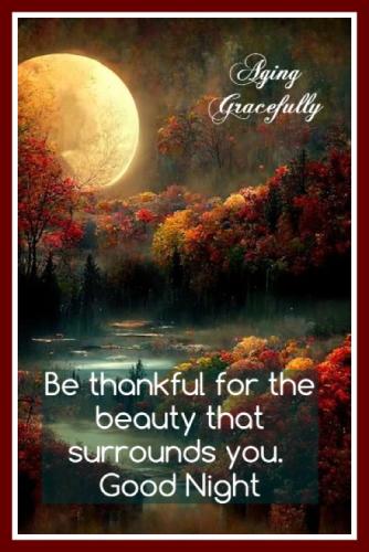 571148738_1137332811894268_5971197850762371136_n