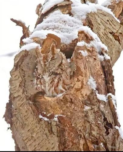 585298121_2336649733423711_4737908566249672308_n