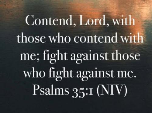 IMG_20251122_195501_041