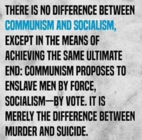 image_2025-11-19_063934428