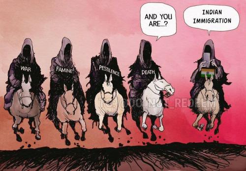 IMG_20251118_014444_347