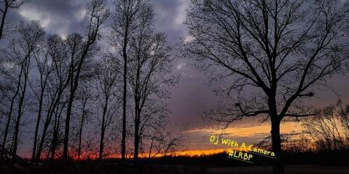 Screenshot_20251118_184501_Gallery