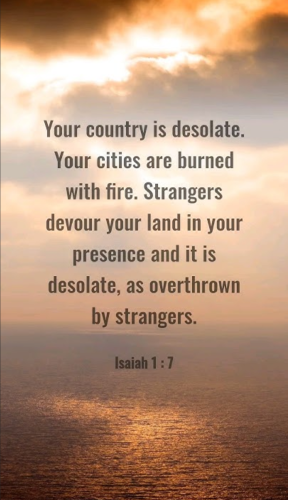 Screenshot_20251128-171636-301