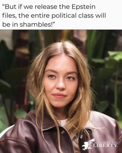 epstein-files-political-class-shambles