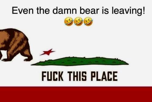 California_even_the_damn_bear_is_leaving_funny_dem_lib