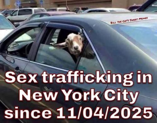 581940435_3821595994804868_248409581137529000_n