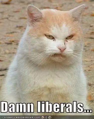 de79b55b-3a9f-46ad-8d39-9cd62807a2fa