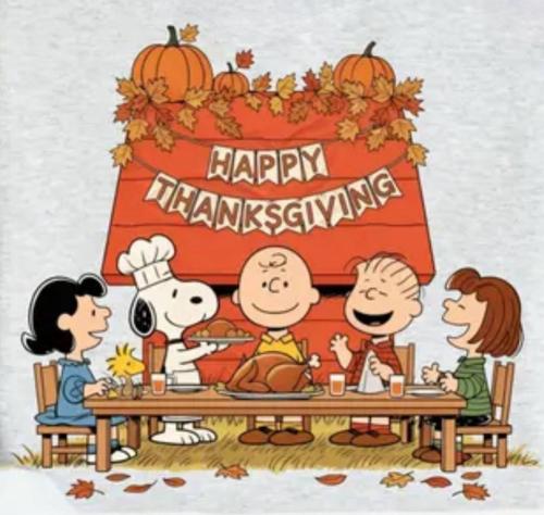 IMG_20251127_100604_771