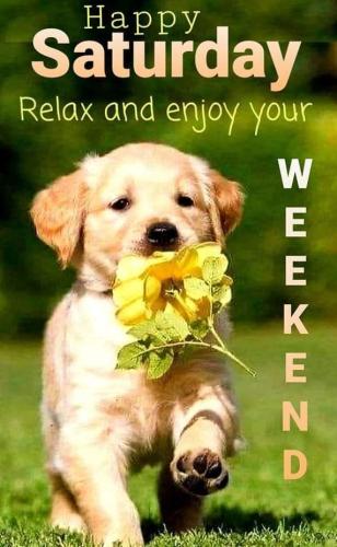 abccfff2b2583ed97b4ec14c314e3f10