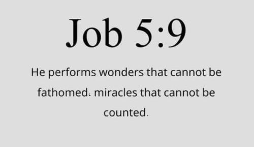 IMG_20251108_233342_948