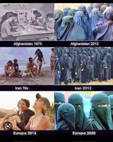 Ki k out the islam cult