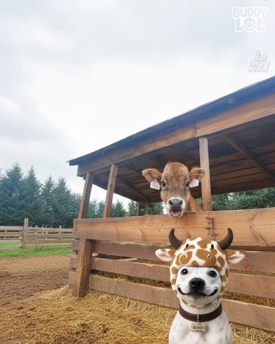 main-qimg-12ff05ef561962675c4b5f2cc2bac699