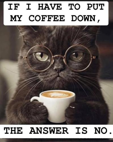 583921115_1737050923640546_8898722241148982895_n