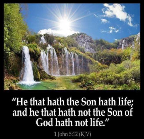 082b36bd-49a9-4d13-b25c-f147b4df2248