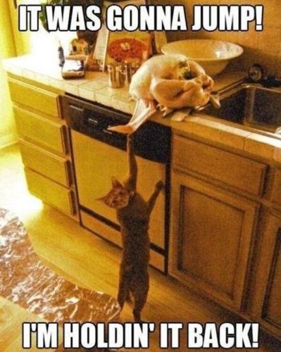 gonna-jump-holdin-back