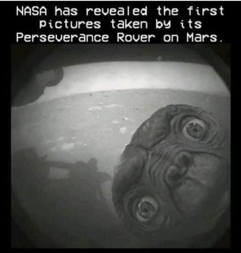 Screenshot_20251125_185627_Gallery