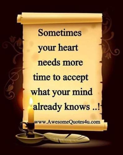 FB_IMG_1572913098927