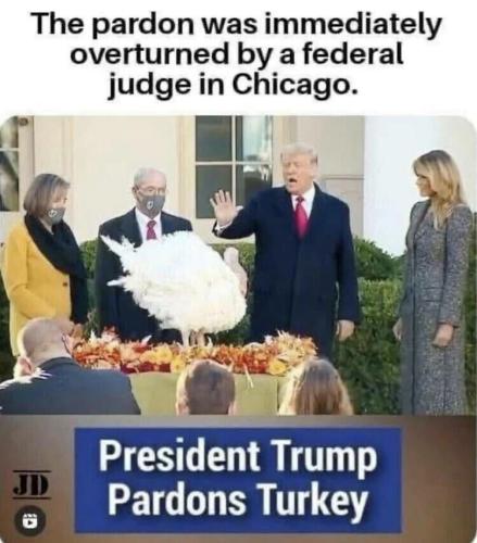 IMG_20251122_151018_894