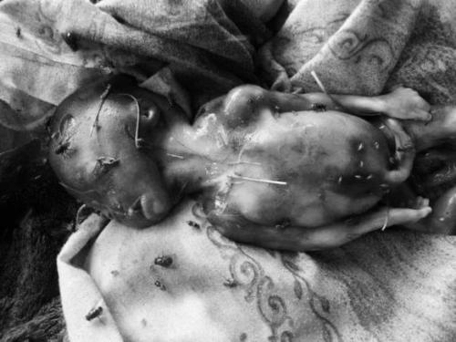 FB_IMG_1575358291039