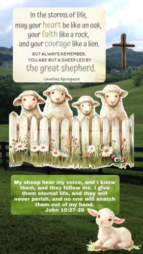 d89619c1f617daaf4f97bfe9edea82fb