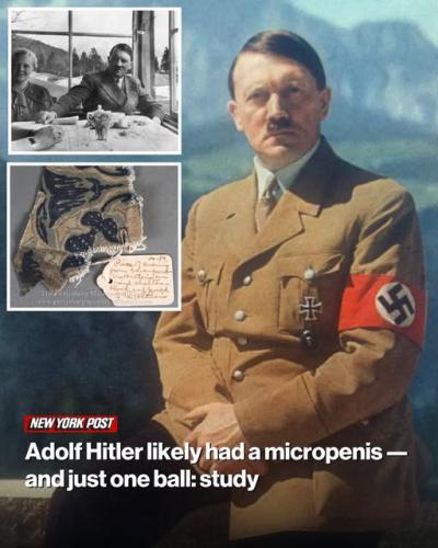 If he was to look at his own genetic results he would have almost certainly have sent himself to the gas chambers the lead geneticist on the study said.