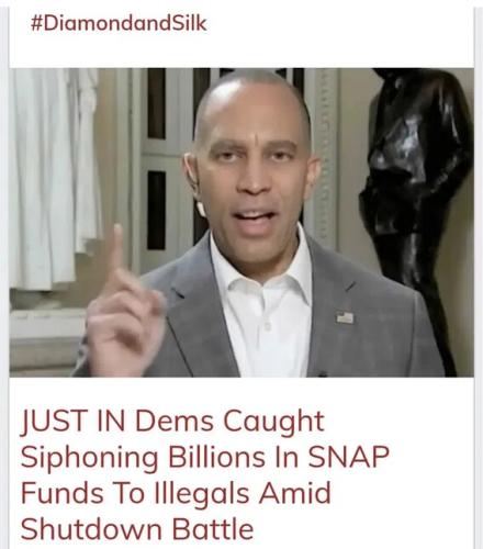 democrats-siphon-snap-billions