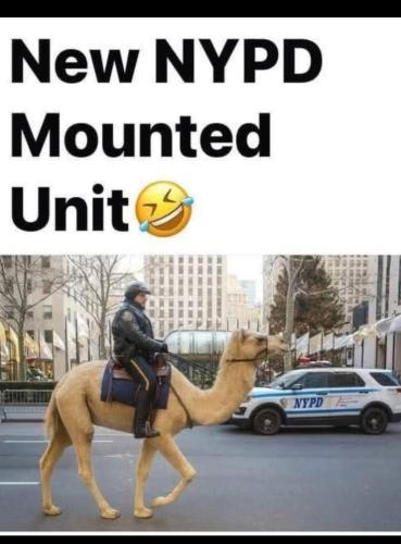 Screenshot_20251106_094206_X