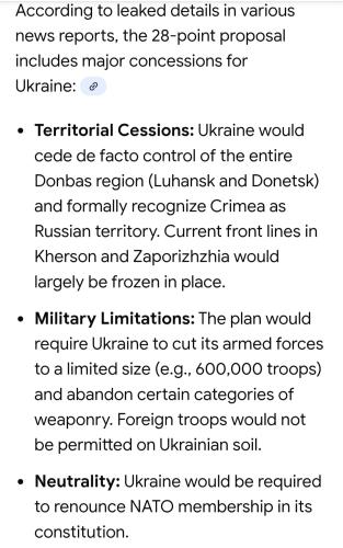 Screenshot_20251121_093339_Google(1)