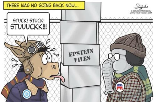 image_032A1C7A-8096-4F18-9E5F-0AD4CE668D00